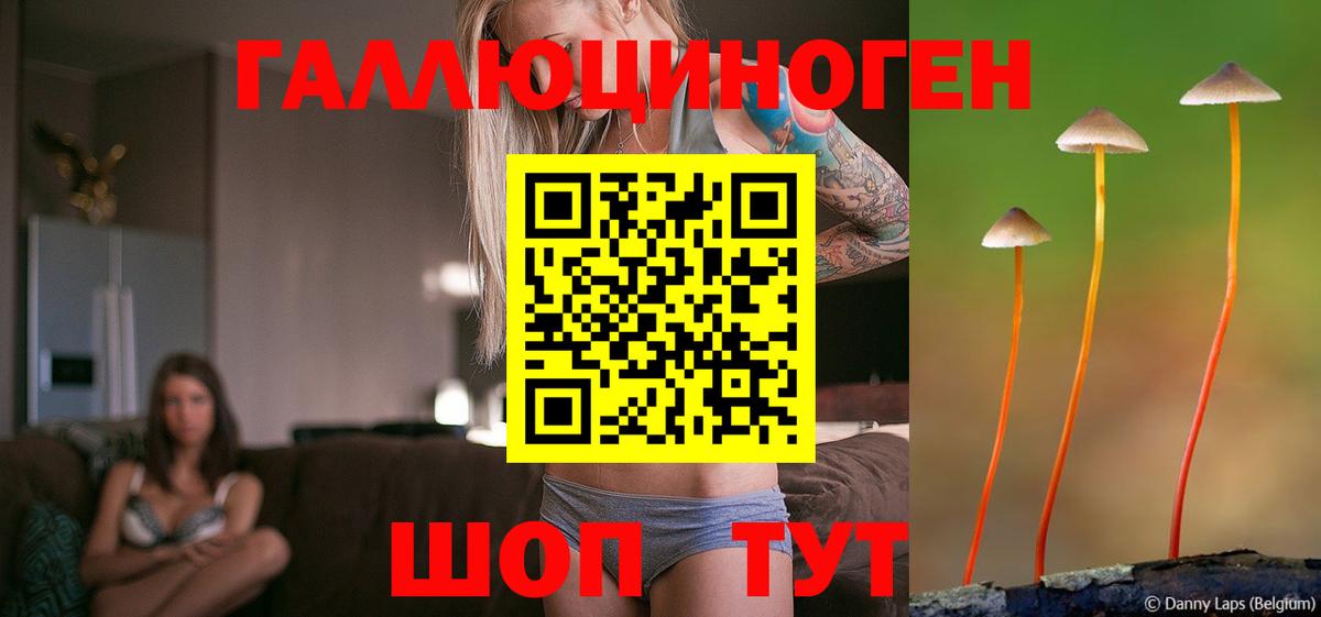 Галлюциногенные грибы GOLDEN TEACHER Калининград