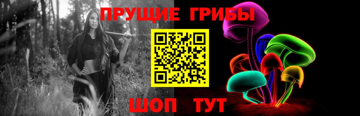 купить закладку  Галлюциногенные грибы MAGIC MUSHROOMS  Калининград  Вход с VPN  Псилоцибиновые грибы Psilocybe 